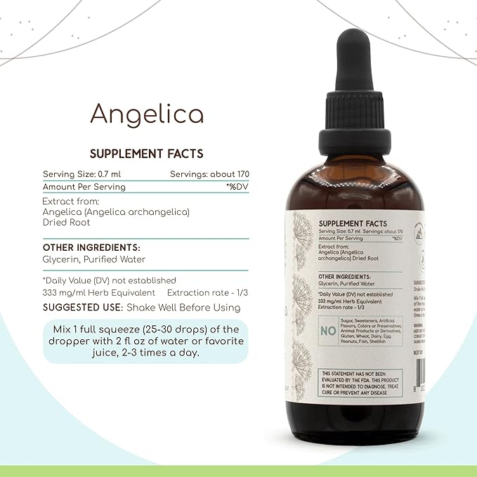 Angelica B120 Alcohol-Free Herbal Extract Tincture, Concentrated Liquid Drops Natural Angelica (Angelica archangelica) Dried Root (4 fl oz)