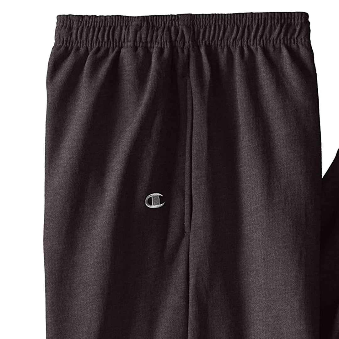 Champion Men's Big-Tall Fleece Pant, Charcoal Heather, 4X
