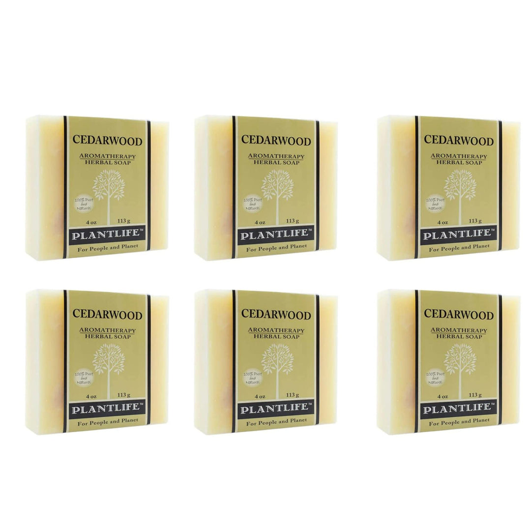 Plantlife Cedarwood 6-Pack Bar Soap - Moisturizing and Soothing Soap for Your Skin - Hand Crafted Using Plant-Based Ingredients - Made in California 4oz Bar