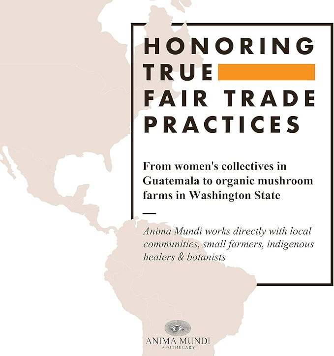 Anima Mundi Apothecary Suma Brazilian Ginseng Root Powder - Superfood Energy Support - Energizing Herbal Supplement Powder - Add to Smoothies, Tea, Coffee & More (4oz / 113g)