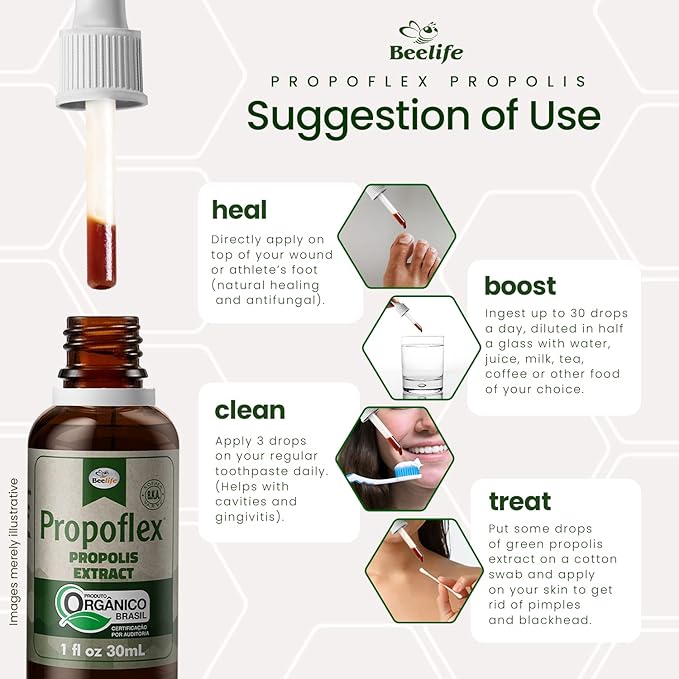 Beelife Organic Brazilian Green Propolis Extract - High Artepillin-C Levels, Antioxidant-Rich Supplement for Overall Wellness - Natural & Kosher- Organic Green Propolis Tincture, 1 Fl. Oz.