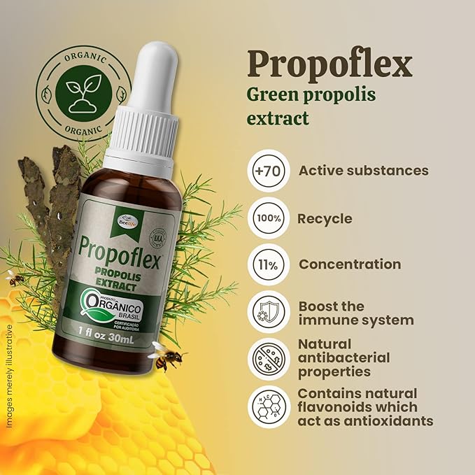 Beelife Organic Brazilian Green Propolis Extract - High Artepillin-C Levels, Antioxidant-Rich Supplement for Overall Wellness - Natural & Kosher- Organic Green Propolis Tincture, 1 Fl. Oz.