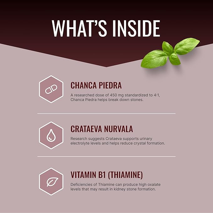 Approved Science Stonexyl - Herbal Support for Kidney Stones - 360 Capsules - Chanca Piedra - High Absorption - 6 Month Supply - Vegan