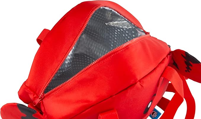 BigMouth Inc Large Insulated Cooler Bag, Reusable Travel Bag with Adustable Straps, Cute Collapsible Food Tote for Picnic Pool Beach