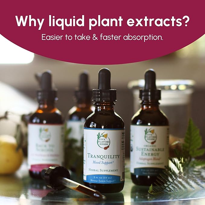 First Response Tincture - for Seasonal Discomfort, Upper Respiratory Support, Healthy Lungs, Immune System Support, Elderberry, OSHA, Yarrow, Herbal Supplement - 2 Fl Oz