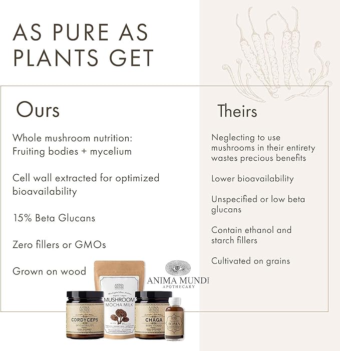 Anima Mundi Apothecary Chaga Mushroom Powder - Organic Chaga Mushroom Powder - Immune System Support Supplement - Great for Tea, Coffee and More (5oz)