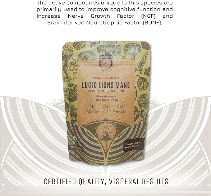 Hamilton’s Lucid Lion’s Mane | Organic Mushroom Extract Powder for Synapse Repair, Nerve Growth Factor, Focus, Memory, and Concentration | High Potency | 30% Beta Glucans | GF, Non-GMO, Vegan (500g)