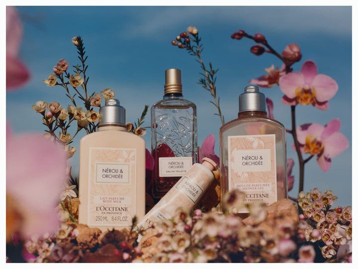 L'OCCITANE Hand Cream: Nourishes Very Dry Hands, Protects Skin, With Shea Butter, Vegan, Lavender, Cherry Blossom, Rose, Neroli Orchidee, Verbena, Peony