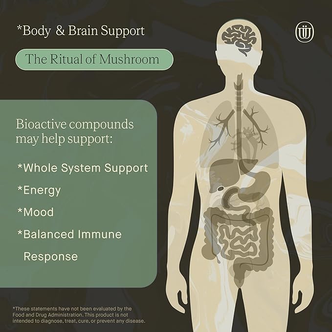 Mushroom Extract Tincture (Ritual of Mushroom)