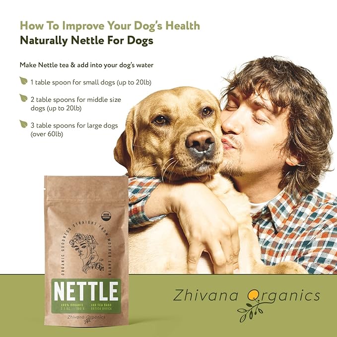 Stinging Nettle Tea Organic (100 Tea Bags) - Stinging Nettle Leaf, Ortiga Verde Organica, Urtica Tea