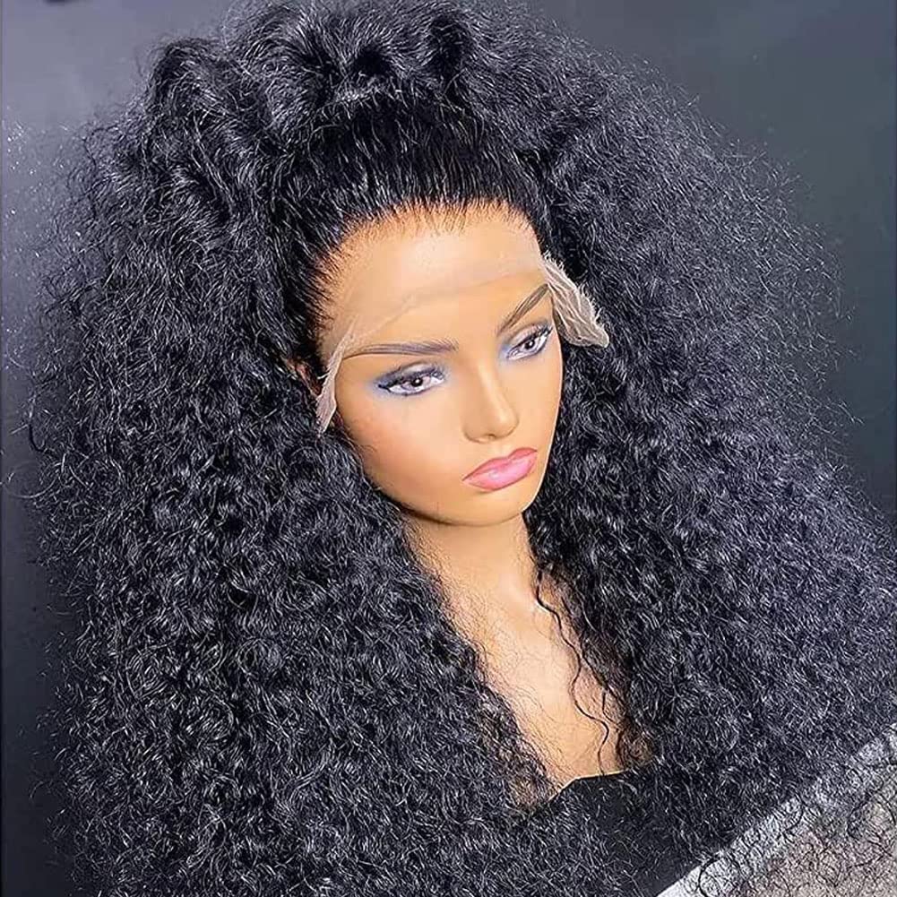 30Inch Curly Wig 13X4 Hd Lace Front Wigs For Black Women Pre Plucked With Baby Hair Wear And Go Glueless Wigs Human Hair Pre Plc