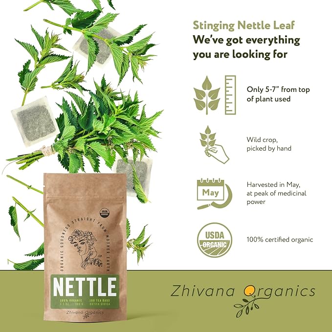 Stinging Nettle Tea Organic (100 Tea Bags) - Stinging Nettle Leaf, Ortiga Verde Organica, Urtica Tea