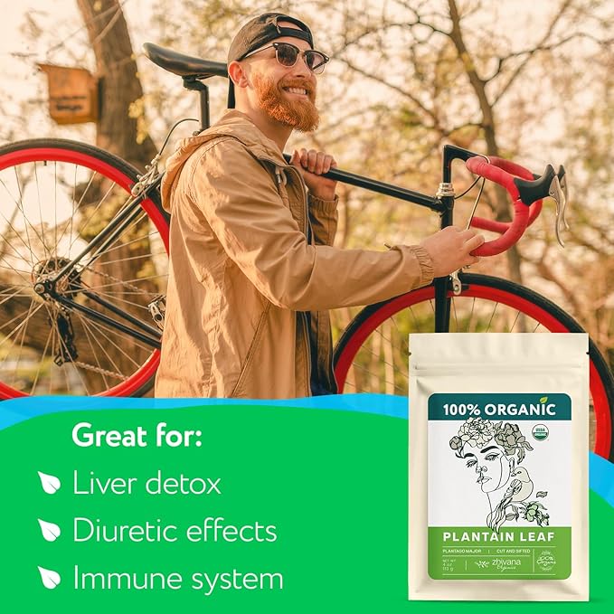 Super Value Pack 5 LB – Organic Plantain Leaf Tea (Plantago Major) – Natural Respiratory Support - Loose Leaf Tea for Soothing, Digestive & Immune Benefits