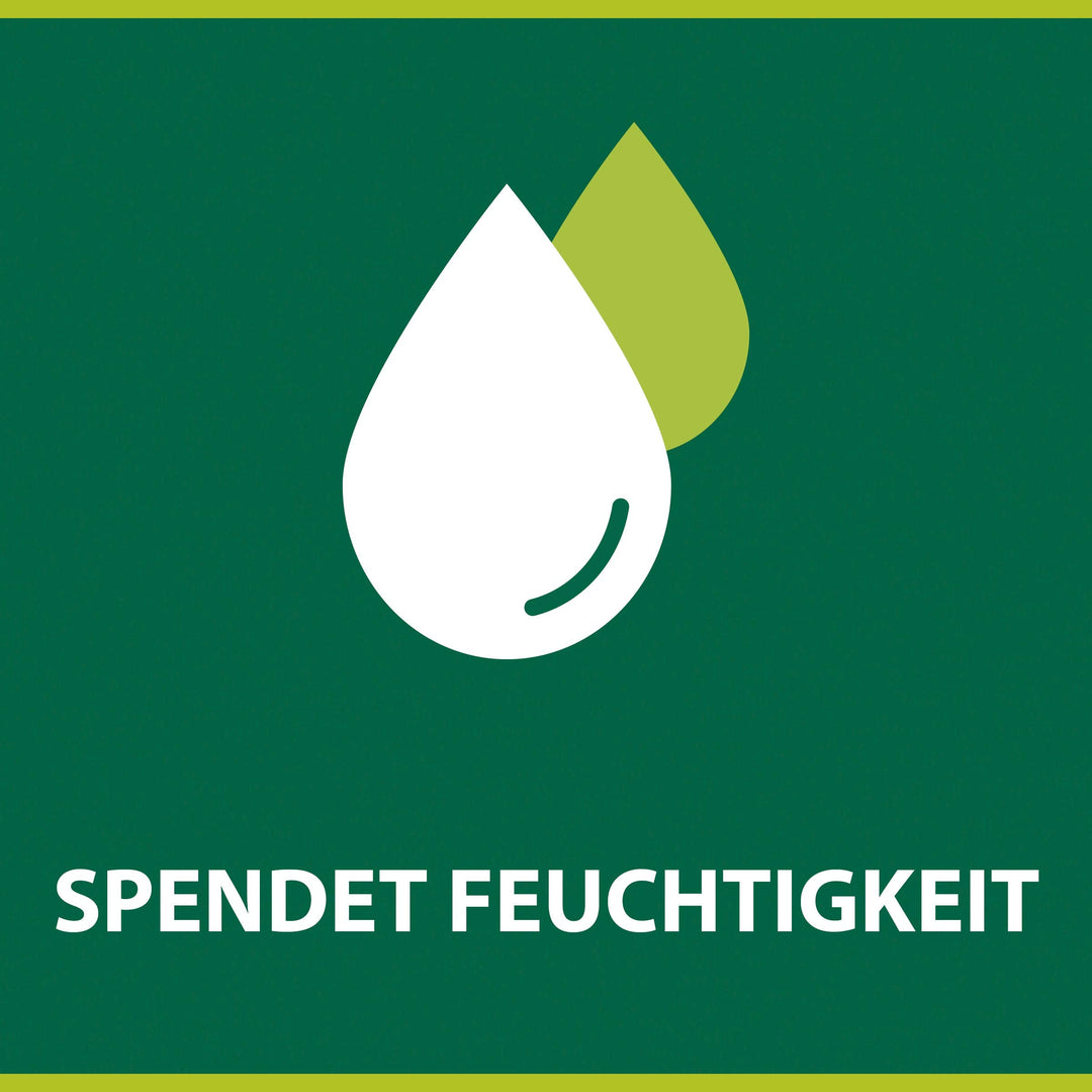 Palmolive Naturals Olive 90 g