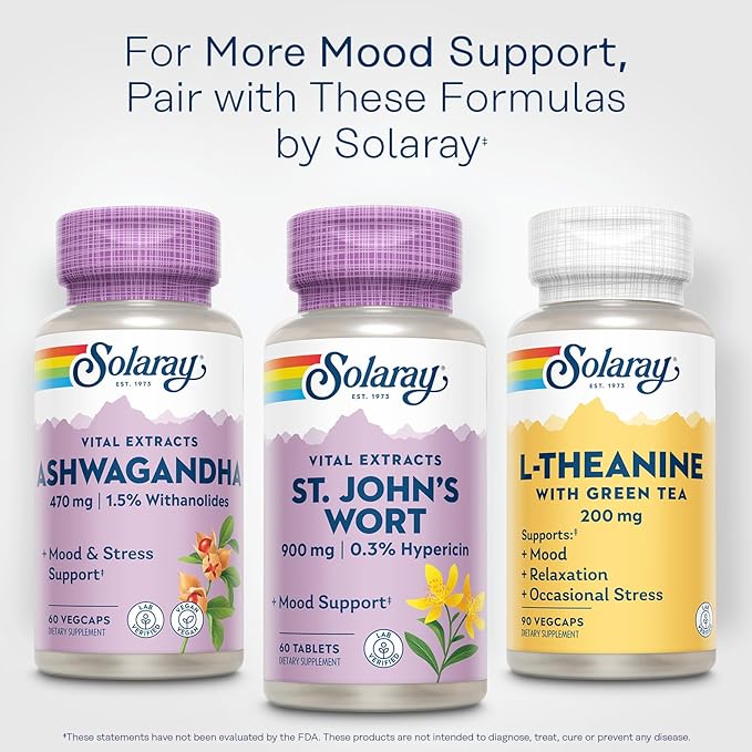 SOLARAY St. Johns Wort Aerial Extract One Daily 900mg, Standardized w/ 0.3% Hypericin for Mood Stability & Brain Health Support, Non-GMO |60 Servings | 60 Tablets