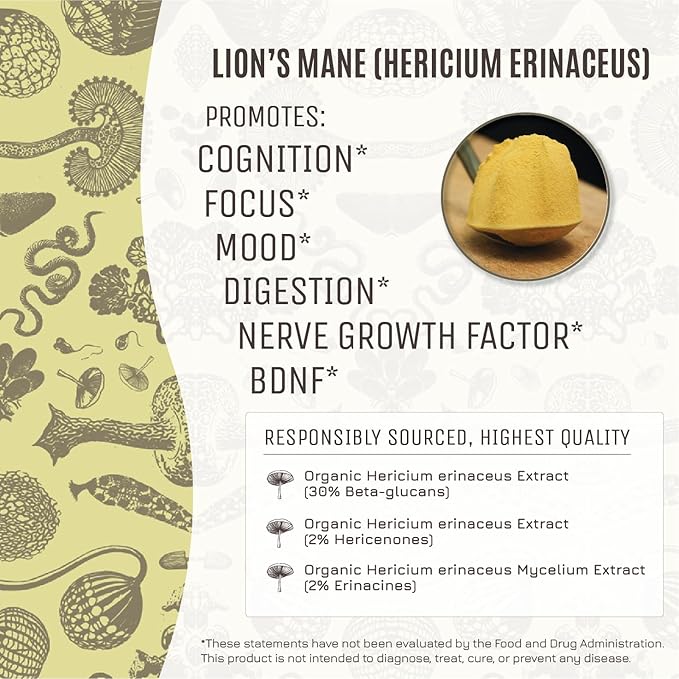 Hamilton’s Lucid Lion’s Mane | Organic Mushroom Extract Powder for Synapse Repair, Nerve Growth Factor, Focus, Memory, and Concentration | High Potency | 30% Beta Glucans | GF, Non-GMO, Vegan (200g)