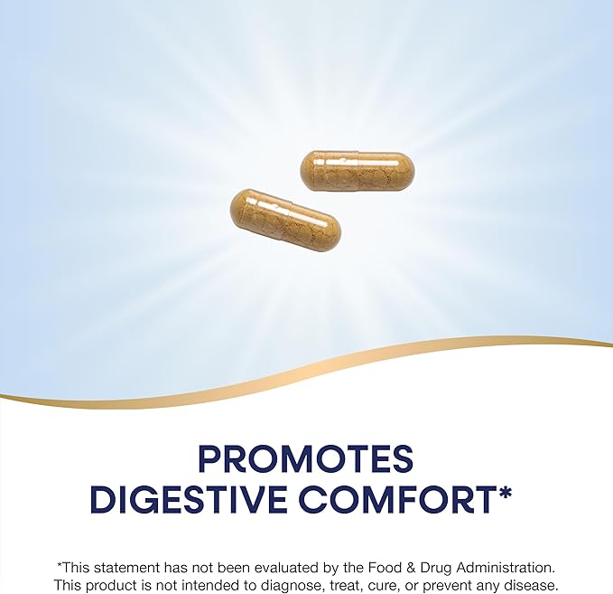 Nature's Way Ginger Root, Promotes Digestive Comfort*, Reduces Motion-Related Nausea*, 1,100 mg Per 2-capsule Serving, Non-GMO Project Verified, Vegan, 240 Capsules