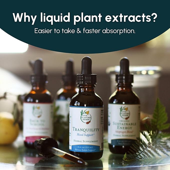 Mushroom Champion Tincture - Metabolic Support, Immune Support, Respiratory Support, Adaptogen Blend, Tonic Formula, Reishi, Maitake, Herbal Supplement - 2 Fl Oz