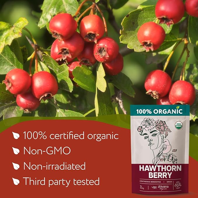 4 LB Value Pack Hawthorn Berries Organic - Hawthorne Berry Tea Organic - Pressure Balance, Heart, Digestion, Immune Support – Non-GMO, No Additives - Ideal for Herbal Tea & Remedies