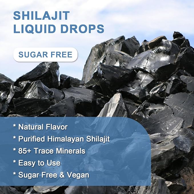 Pure Himalayan Shilajit Liquid Supplement - Energy & Immune Support, Contain 85+ Trace Minerals & Fulvic Acid, Pure Shilajit Resin Liquid Drop for Men & Women, Natural Flavor, 1 Fl Oz (2 Pack)