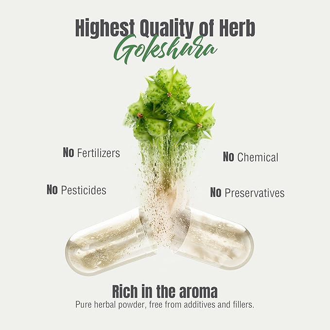 Tribulus Terrestris Gokshura 750mg | 30% Saponins, 60 Vegan Capsules | Ayurvedic Supplement for Vitality, Energy, Stamina & Wellness Support