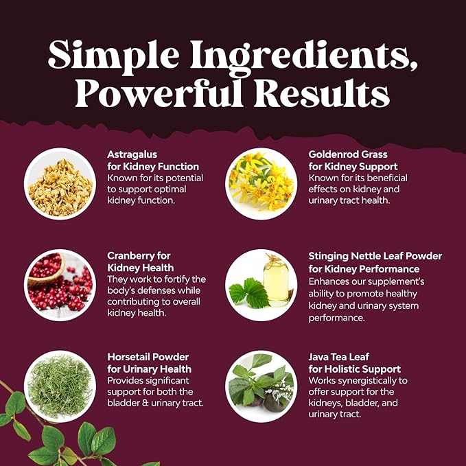 Kidney Support Supplement - High Strength Kidney Cleanse, Detox & Repair Cranberry Extract Capsules with Uva Ursi, Stinging Nettle & Chanca Piedra - Urinary Tract Health & Bladder Cleanse - 60 Caps