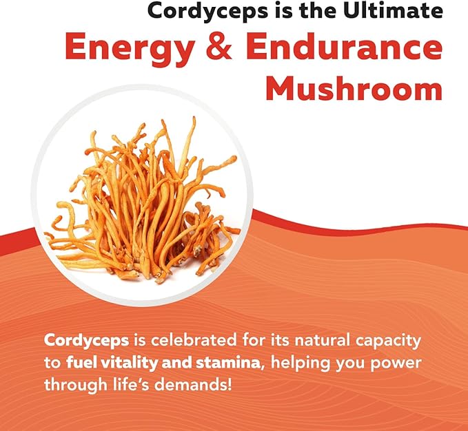 Organic Cordyceps Mushroom Extract - 70% Beta Glucans - Highest Active Nutrient Levels, Max Potency Cordyceps Capsules, US Grown + Ultrasonic Extraction - Performance, Immunity & Energy - 60 Capsules