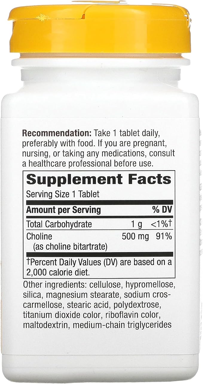 NATURES WAY 500Mg 100 Tb Choline, 100 CT