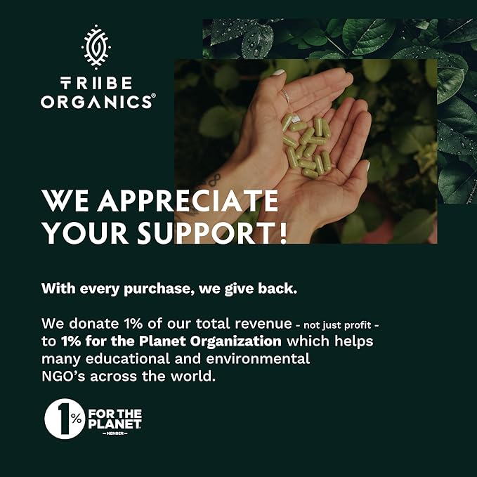 TRIBE ORGANICS Lion’s Mane Supplement 1800mg Mushroom Extract Powder - Immune System Booster & Brain Nootropic for Focus and Memory | Mental Clarity | Natural Energy and Immunity - 120 Vegan Capsules