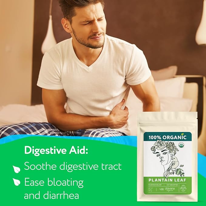 Super Value Pack 5 LB – Organic Plantain Leaf Tea (Plantago Major) – Natural Respiratory Support - Loose Leaf Tea for Soothing, Digestive & Immune Benefits