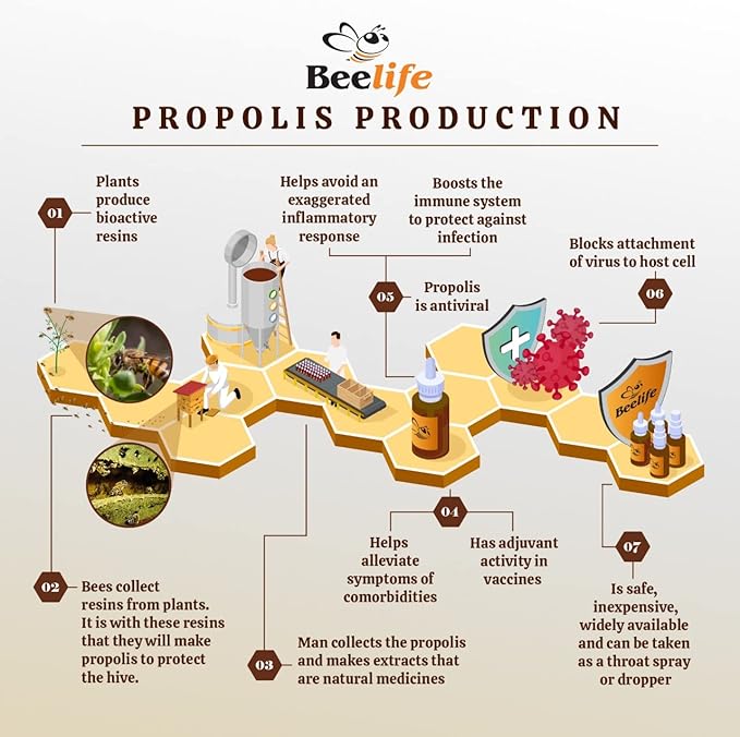 Beelife Propoflex Green Propolis Extract - No Alcohol Bee Propolis Tincture, High Artepillin-C Levels - Antioxidant-Rich Liquid Supplement for Wellness - Natural & Kosher - Made in Brazil, 1 Fl. Oz.