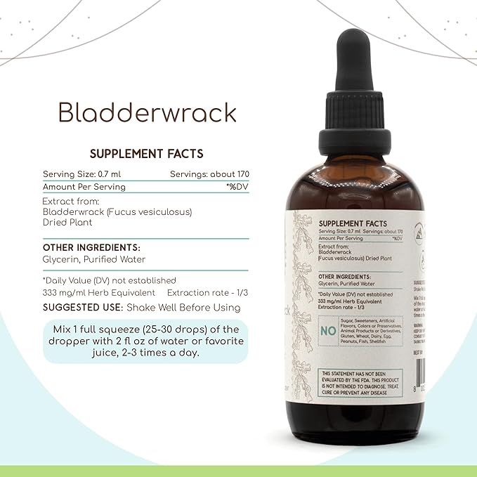 Bladderwrack B120 Alcohol-Free Herbal Extract Tincture, Concentrated Liquid Drops Natural Bladderwrack (Fucus Vesiculosus) Dried Plant (4 fl oz)