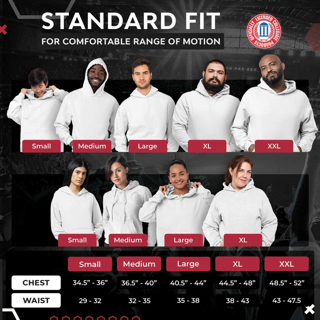 Campus Colors Adult Arch & Logo Soft Style Gameday Hooded Sweatshirt (Baylor Bears - Green, XX-Large)