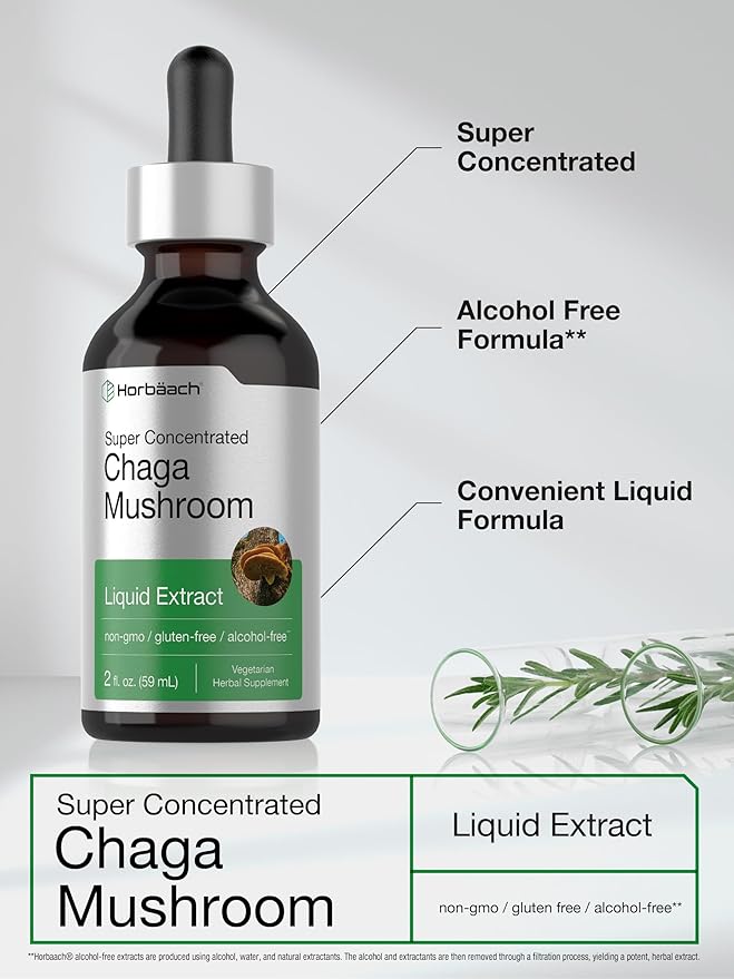 Horbäach Chaga Mushroom Liquid Extract | 2 Fl Oz | Vegetarian Tincture | Alcohol Free | Non-GMO, Gluten Free