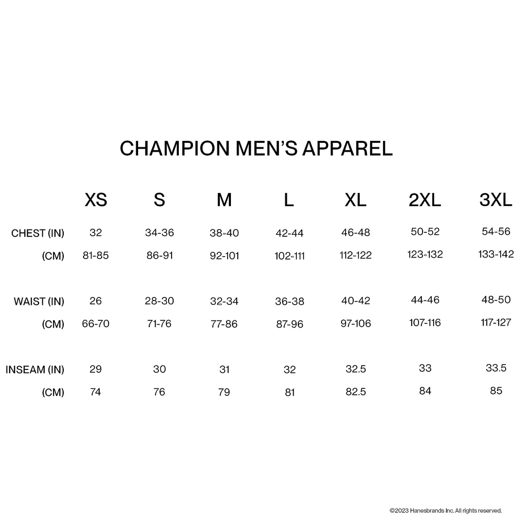 Champion Sport, Moisture Wicking, Athletic Men, Gym Shorts (Reg. or Big & Tall), Soft Suede/Nimbus Green Reflective C, Small