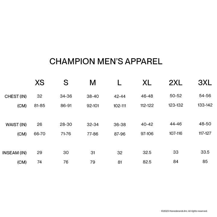 Champion Sport, Moisture Wicking, Athletic Men, Gym Shorts (Reg. or Big & Tall), Soft Suede/Nimbus Green Reflective C, Small