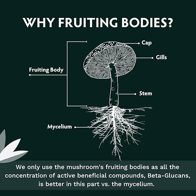 TRIBE ORGANICS Lion’s Mane Supplement 1800mg Mushroom Extract Powder - Immune System Booster & Brain Nootropic for Focus and Memory | Mental Clarity | Natural Energy and Immunity - 120 Vegan Capsules