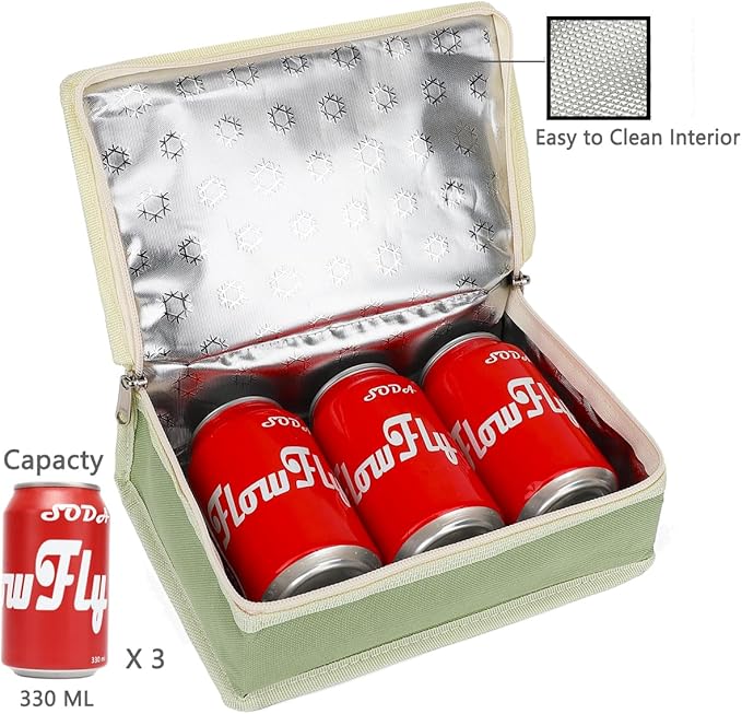 FlowFly Small Insulated Lunch box Portable Soft Bag Mini Cooler Thermal Meal Tote Kit with Handle for Work & School, Light Matcha