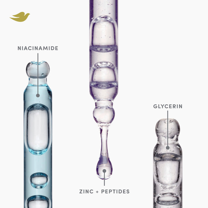 Dove Density Boost Hydrating Shampoo Scalp + Hair Therapy for Gentle Cleansing, with Vitamin B3, Zinc and 0% sulfates, 9.25 oz