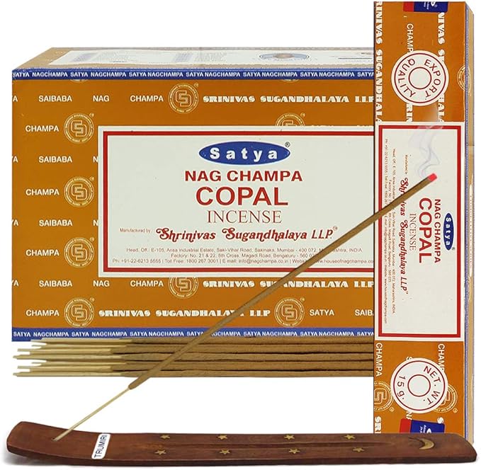 Copal Incense Sticks and Incense Stick Holder Bundle Insence Insense Satya Incense