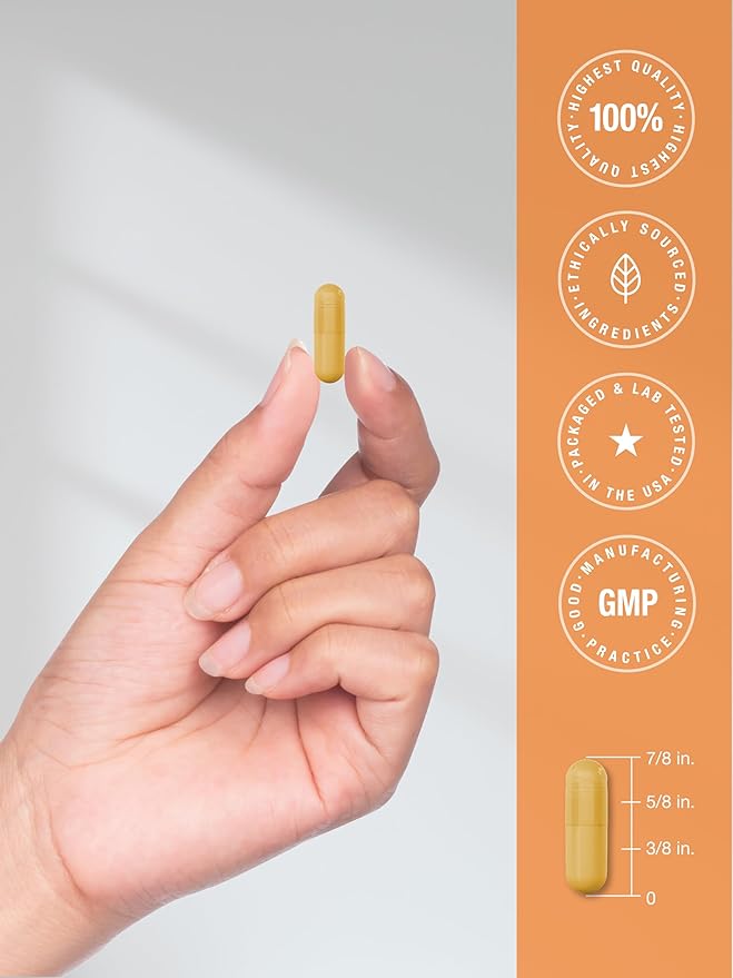 Horbäach Vitamin B-100 Complex | 60 Quick Release Capsules | Non-GMO and Gluten Free Supplement