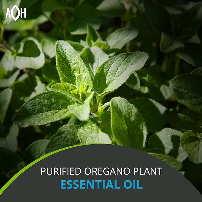 Oregano Oil, 60 Softgel – Immune and Intestinal Support Supplement for Healthy Digestive – Formulated with Extra Virgin Olive Oil – Plant Based, Vegan and Non-GMO