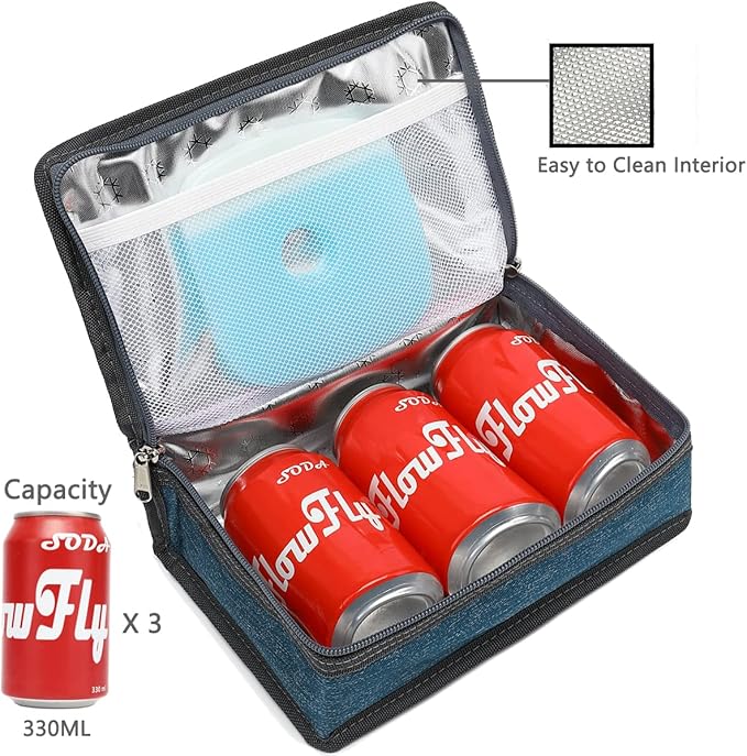 FlowFly Small Insulated Lunch box Portable Soft Bag Mini Cooler Thermal Meal Tote Kit with Handle for Work & School, Royal