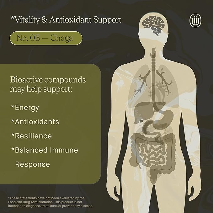Chaga Mushroom Extract - Double Extracted Fruitbody Mushroom Tincture, Antioxidants, Hair, Skin, Nails Health (60 Servings)