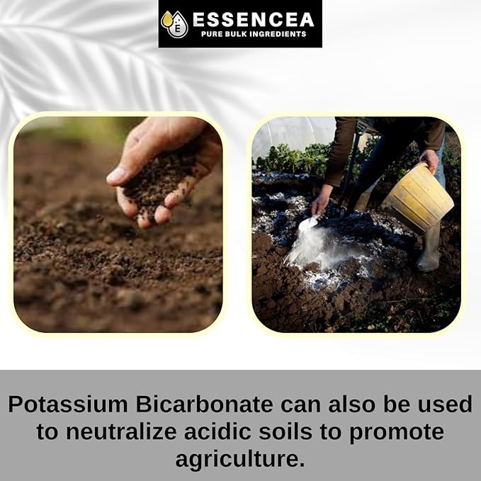 Potassium Bicarbonate 2lb by Essencea Pure Bulk Ingredients | Electrolyte and Leavening | Pure & Undiluted Potassium Supplement