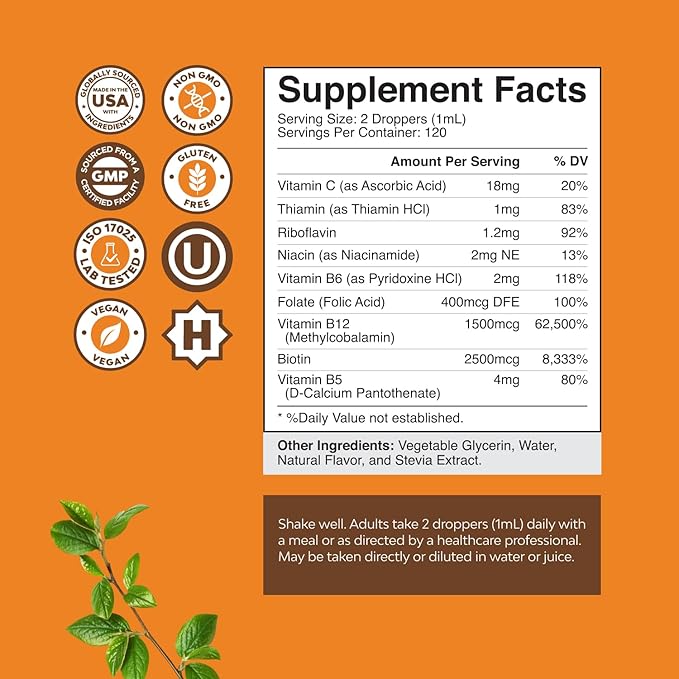 Vegan Vitamin B Complex Liquid - 9-in-1 Liquid B Complex Vitamins for Women & Men with B1 B2 B3 B5 B6 B7 Folate Methyl B12 Plus Vitamin C - Super Concentrated Non GMO & Naturally Flavored (120svg)