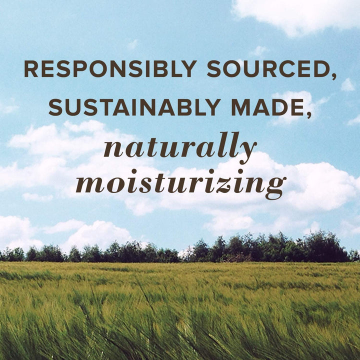 Burts Bees, Squeezy Tinted Lip Balm - Watermelon Rush, 0.43 Ounce