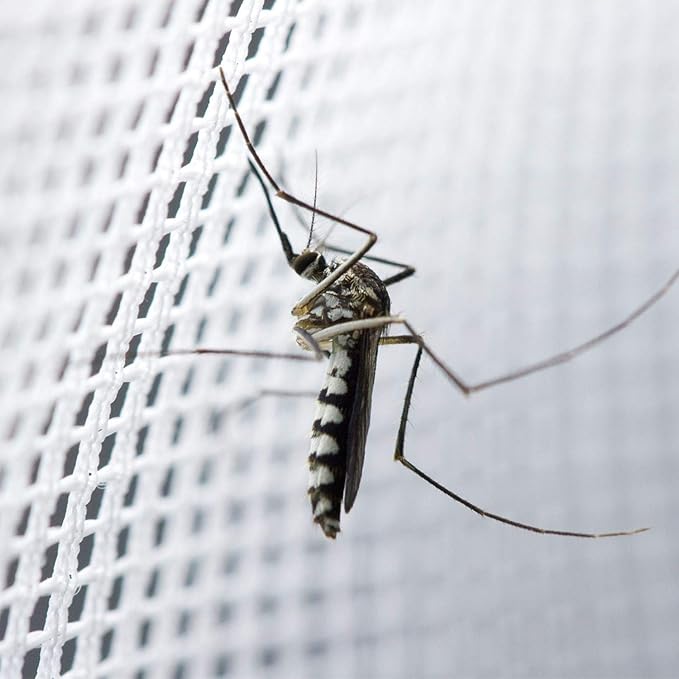 Mosquito Net for Single to King-Sized Beds – Fully-Enclosed Bed Canopy for Travel or Decoration – Free Bag, Hanging Kit & Adhesive Ceiling Hooks for Easy Setup