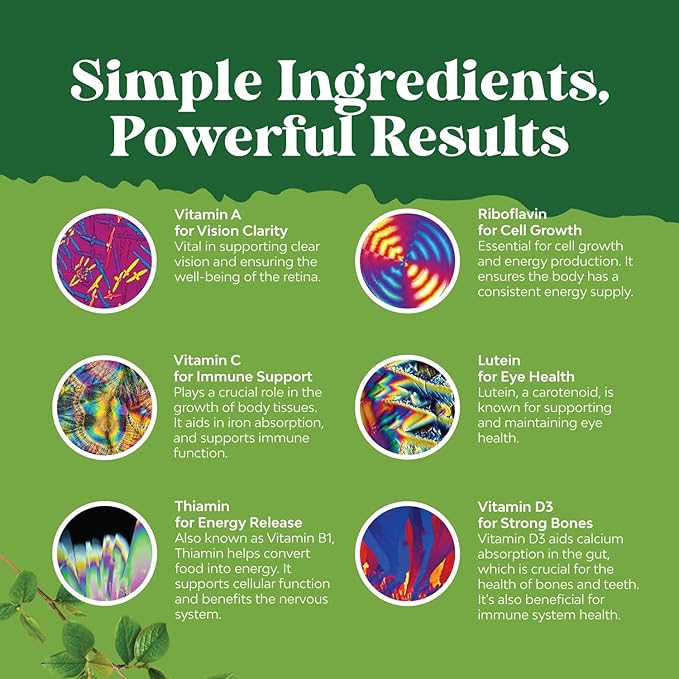 Liquid Multivitamin for Kids Immunity Support - Yummy Toddler Multivitamin Supplement with a C D3 E B6 and D3 Liquid Vitamins for Kids of All Ages - High Absorption (2 Pack)