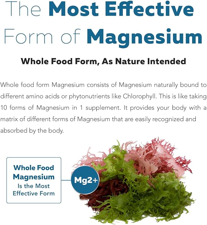 Organic Magnesium | Whole Food Magnesium - Plant-Based, Organic Sea Vegetable Complex - 250 mg Magnesium Per Serving | Water Extracted | Gentle on Stomach | Energy, Sleep, Muscle, Heart - 60 Capsules